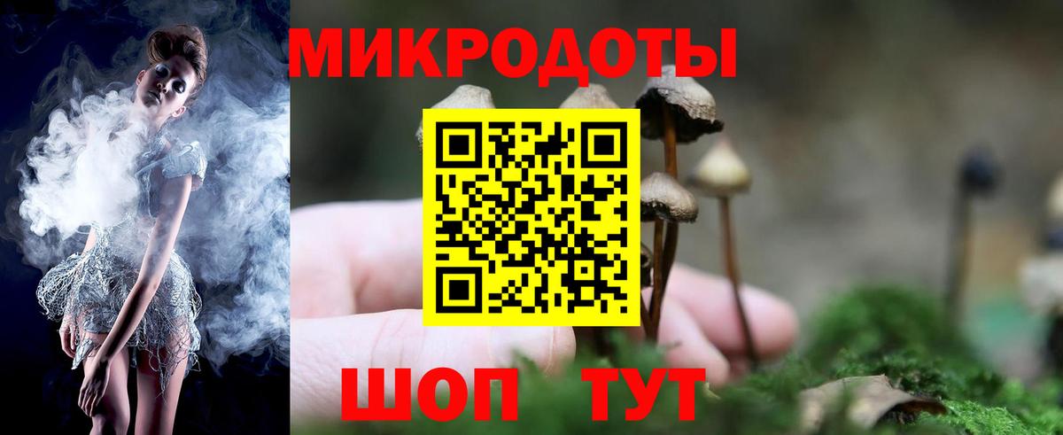 Энгельс  Псилоцибиновые грибы GOLDEN TEACHER  наркошоп  Вход с VPN  Галлюциногенные грибы MAGIC MUSHROOMS 